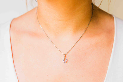 Kelly Herd Blue & Clear Dangle Horseshoe Necklace - Sterling Silver
