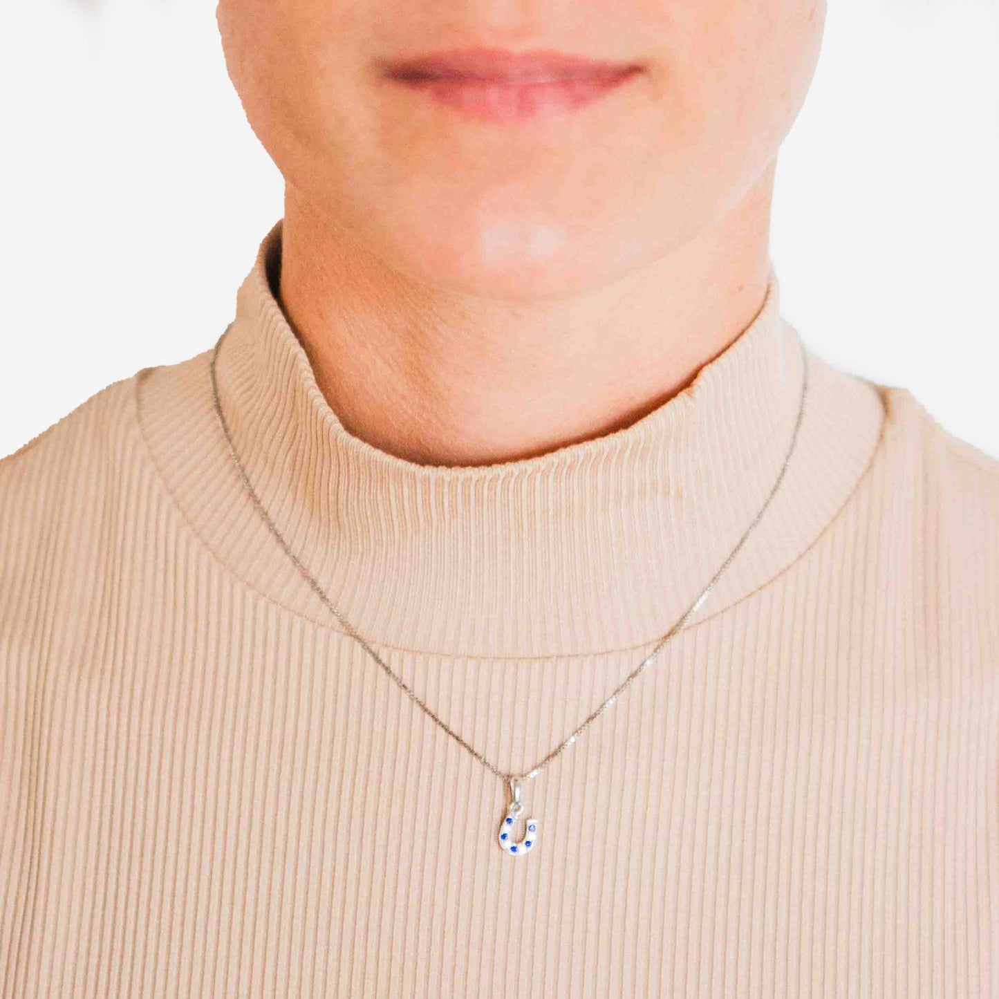 Kelly Herd Blue & Clear Dangle Horseshoe Necklace - Sterling Silver