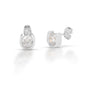 Kelly Herd Horseshoe Earrings with Diamond Stud